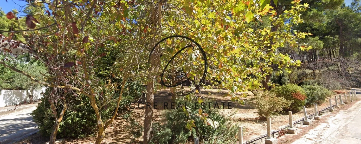 1 - vendita terreno dionysos attica grecia