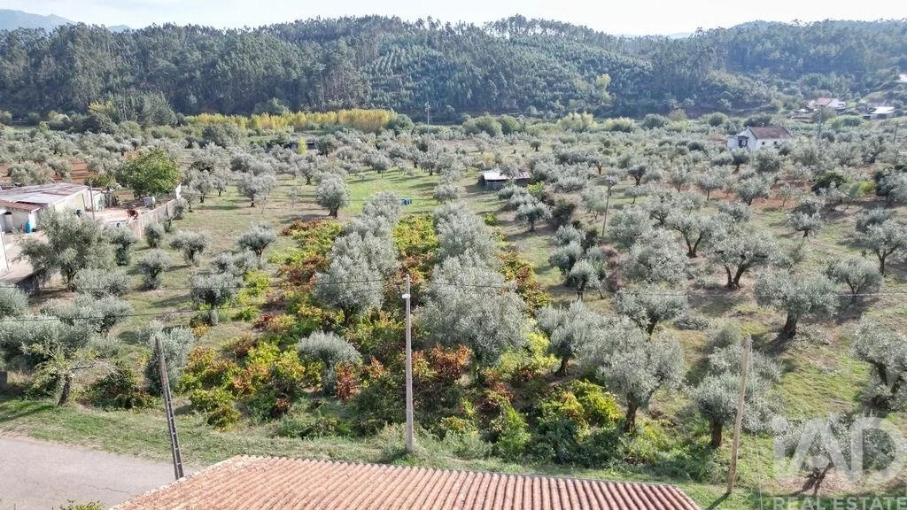 1 - venta terreno podentes región centro portugal