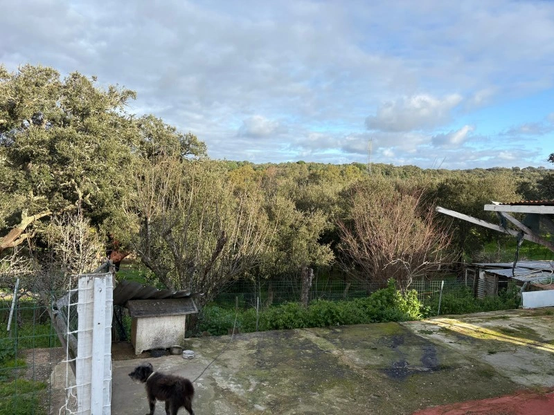 2 - house for sale in melides alentejo portugal