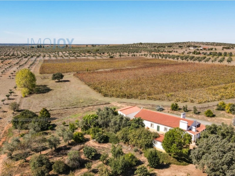 1 - house for sale in avis alentejo portugal