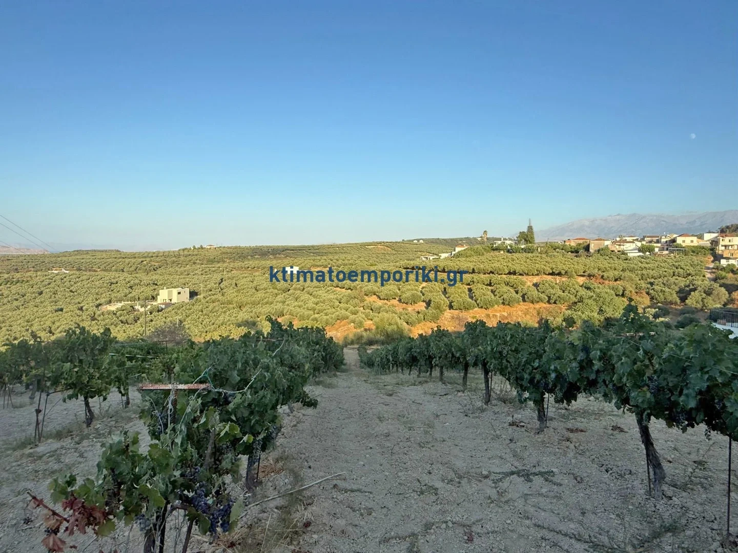 2 - vente terrain vue mer platanias crète grèce