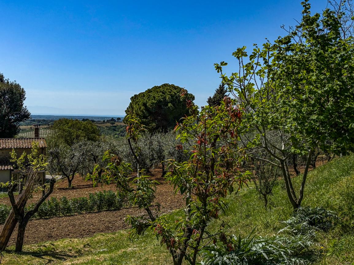 1 - sea view plot of land for sale in casale marittimo tuscany italy