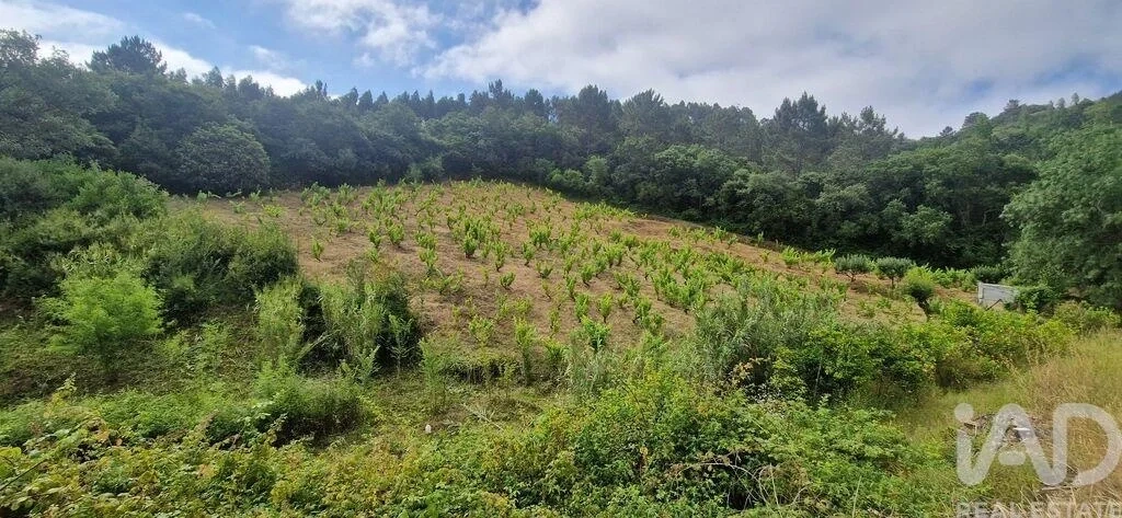 1 - plot of land for sale in mafra lisbon region portugal