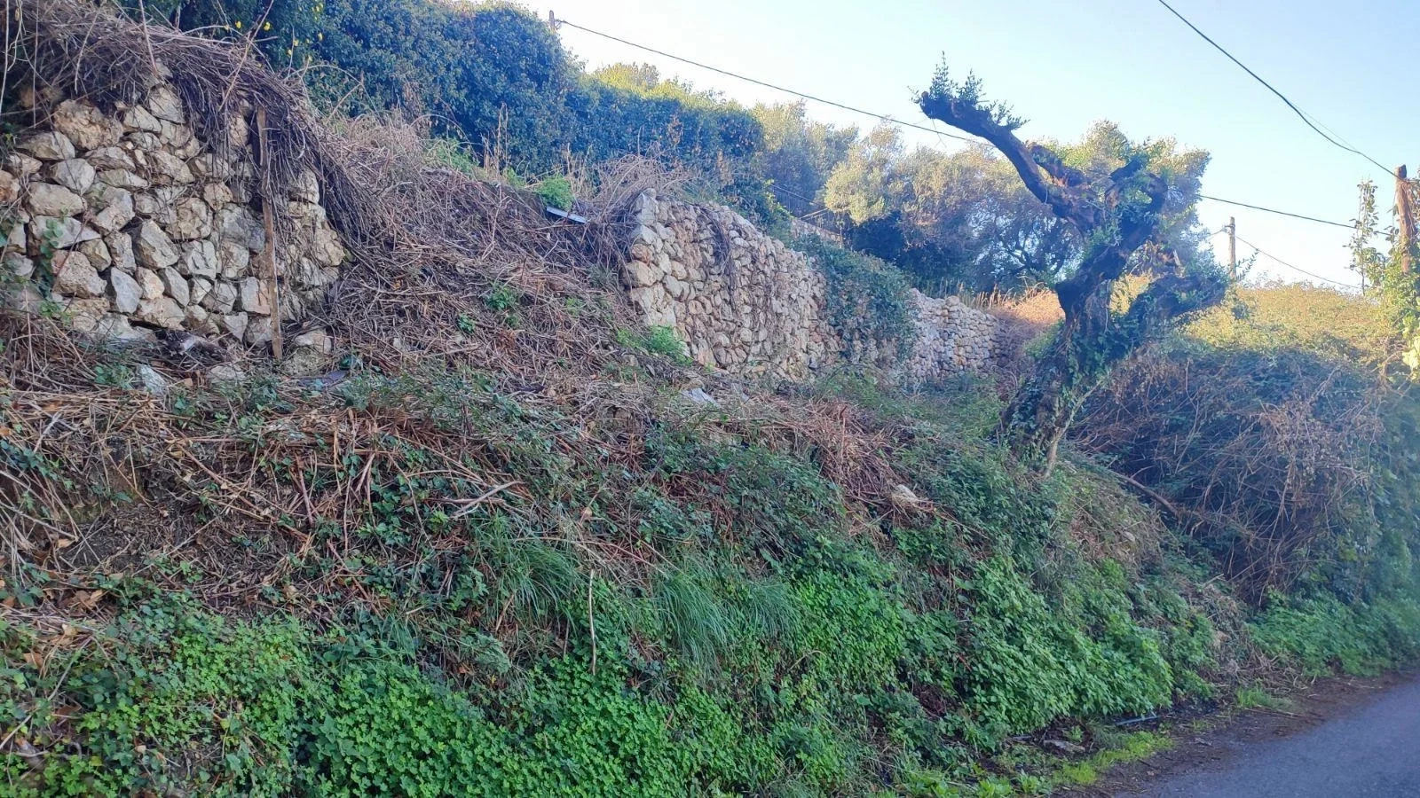 2 - plot of land for sale in kato verga peloponnese greece