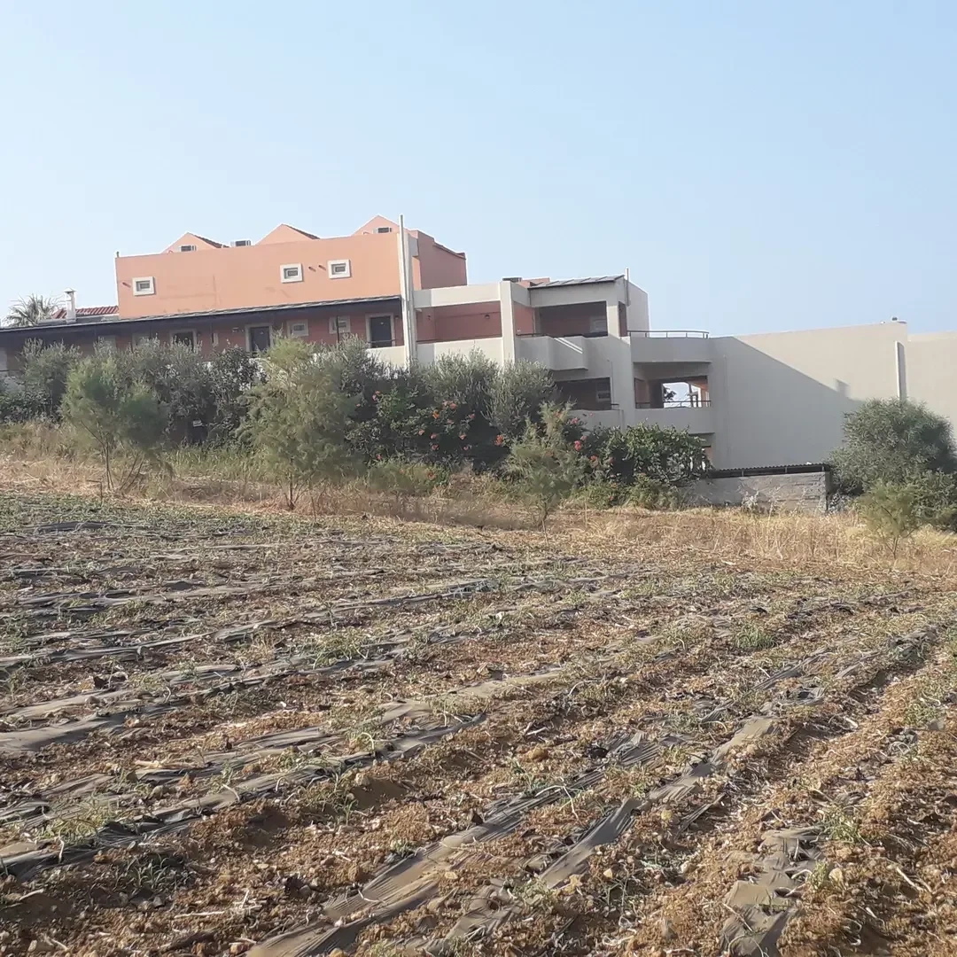 1 - vente terrain plage à pied stalós crète grèce