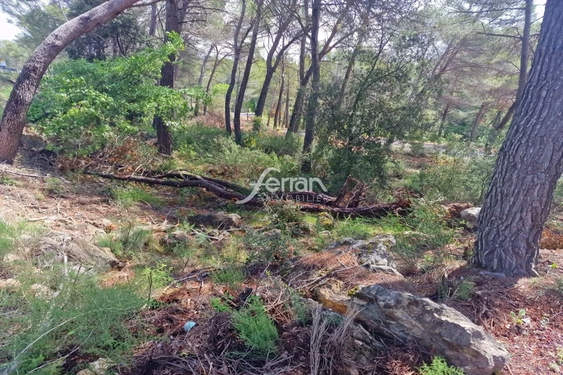 1 - vente terrain salernes var france