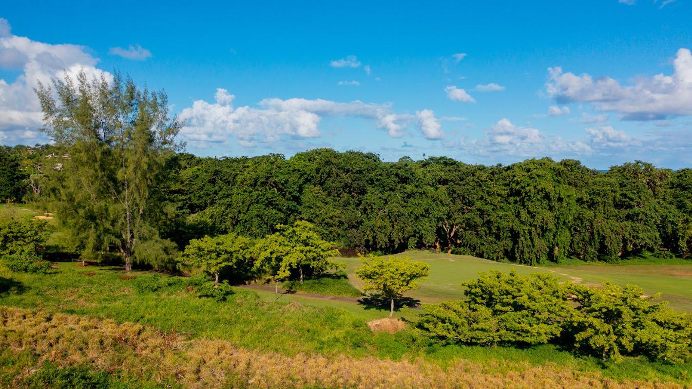 2 - verkauf grundstück bel ombre savanne mauritius