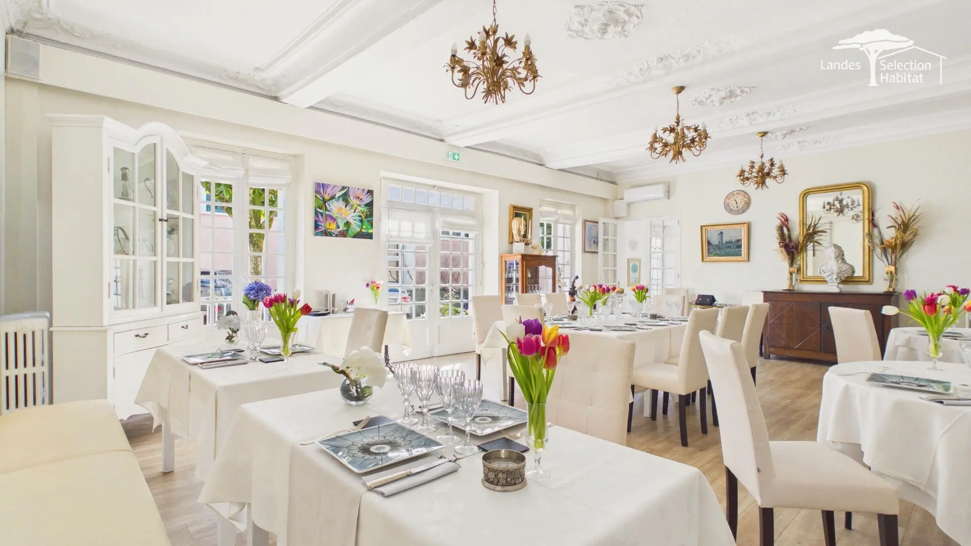 1 - business for sale in mont-de-marsan landes france