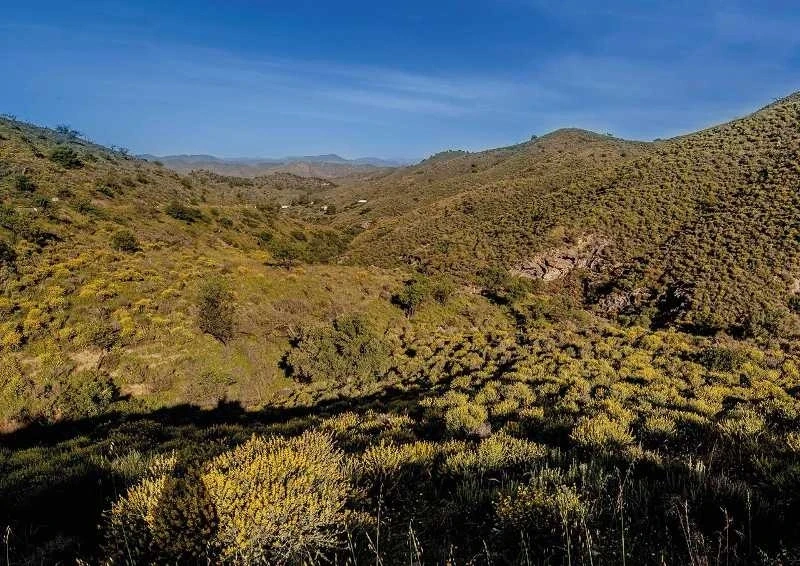 2 - house for sale in fuente alamo region of murcia spain