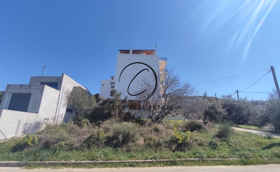 2 - vente terrain vue mer aidipsós grèce centrale grèce