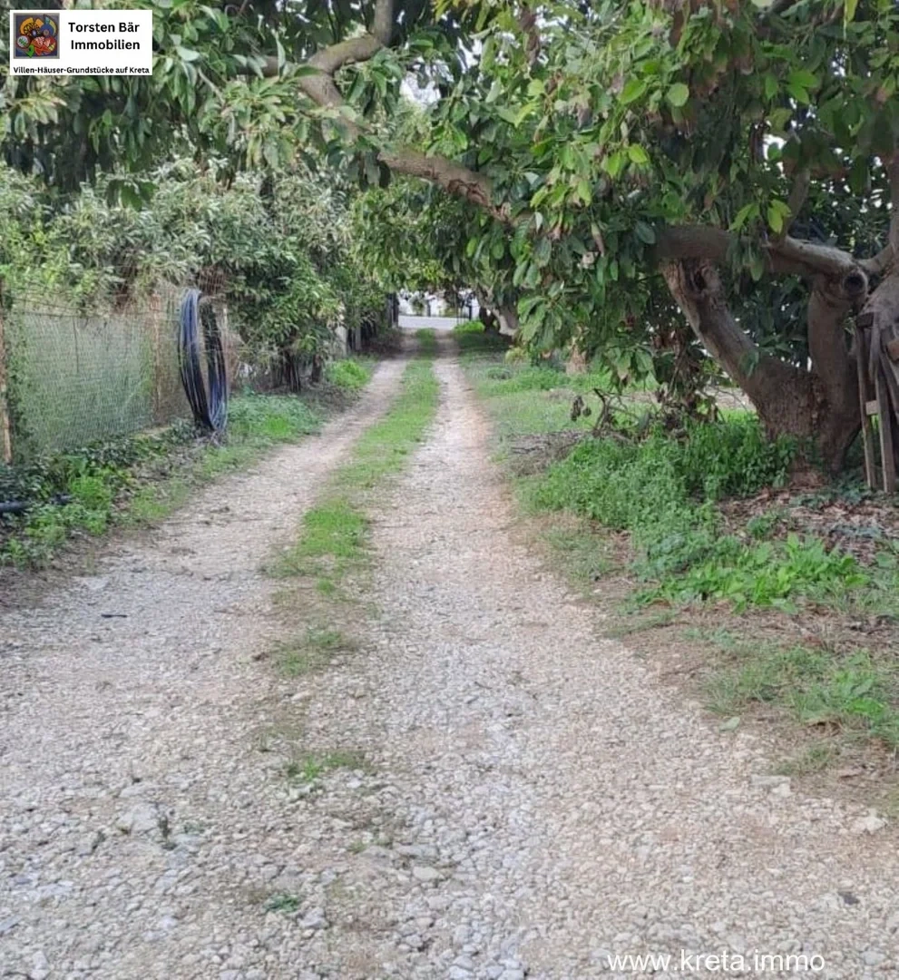 1 - vente terrain arménoi crète grèce
