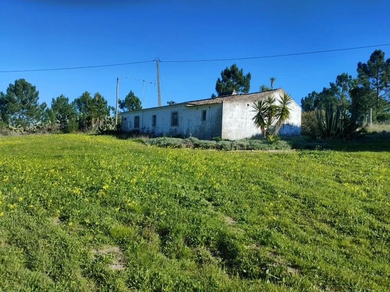 1 - house for sale in melides alentejo portugal