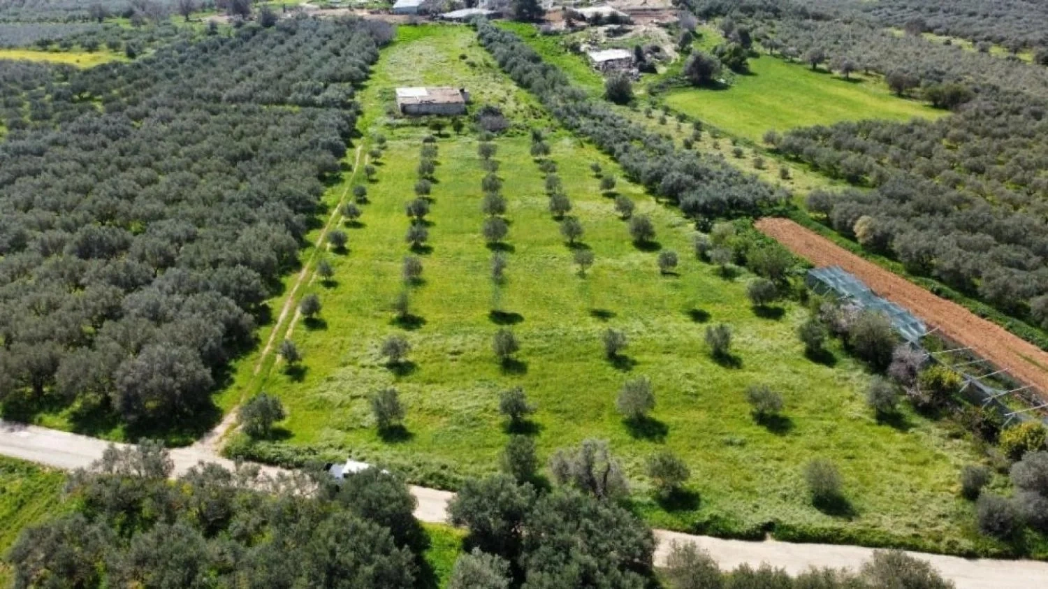 1 - vendita terreno sívas creta grecia