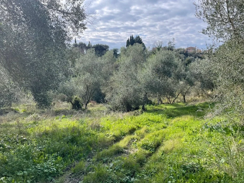 1 - vente terrain corfu îles ioniennes grèce