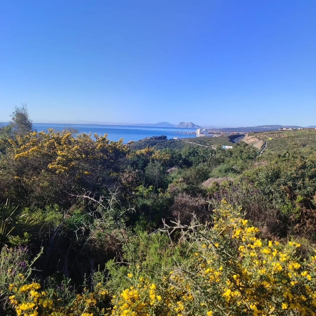 1 - verkoop terrein uitzicht op zee san diego andalusië spanje