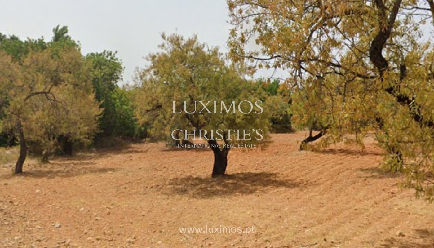 2 - plot of land for sale in faro algarve portugal