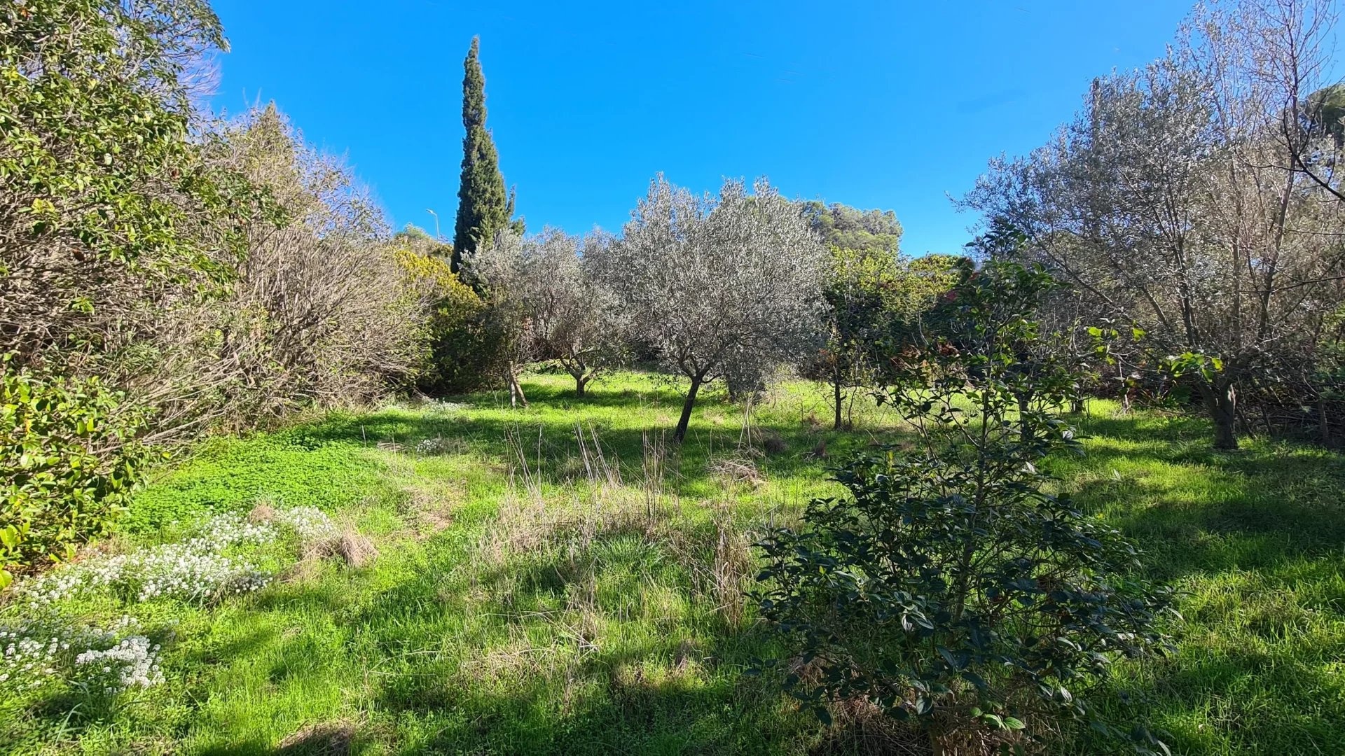 1 - plot of land for sale in saint-raphaël var france