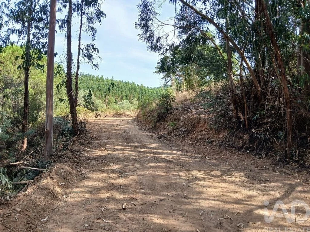 2 - vendita proprietà odemira alentejo portogallo