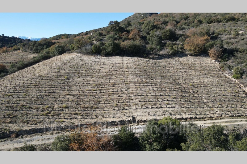2 - verkoop terrein lansac pyrénées-orientales frankrijk