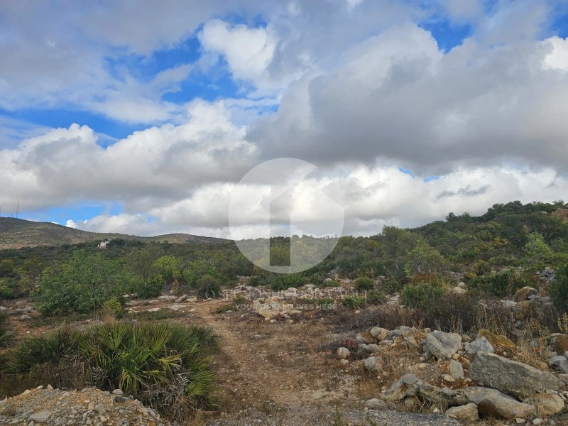 2 - venda terreno moncarapacho algarve portugal