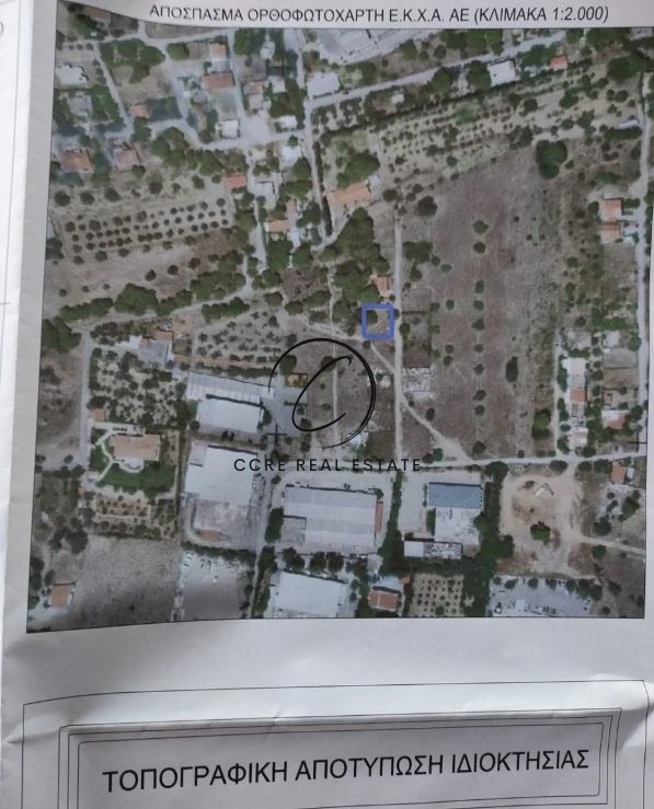2 - vente terrain pallini attique grèce