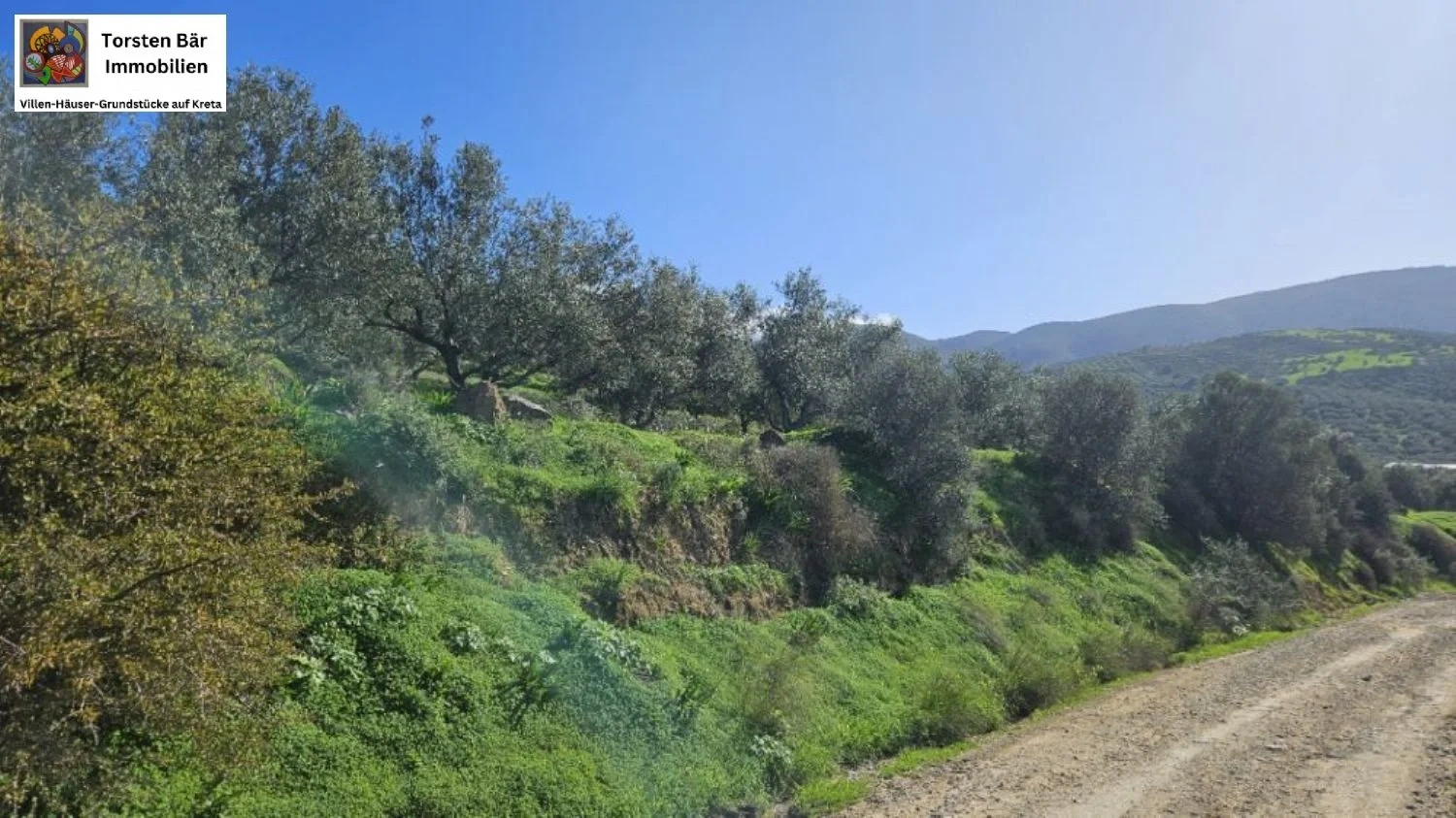 2 - vente terrain kousés crète grèce