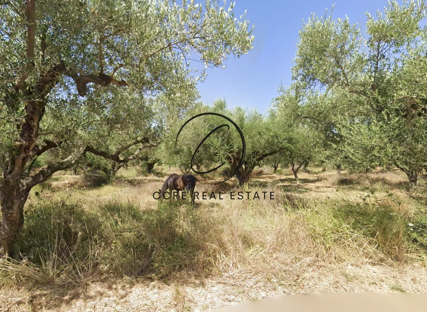 2 - vendita terreno mouzaki isole ioniche grecia