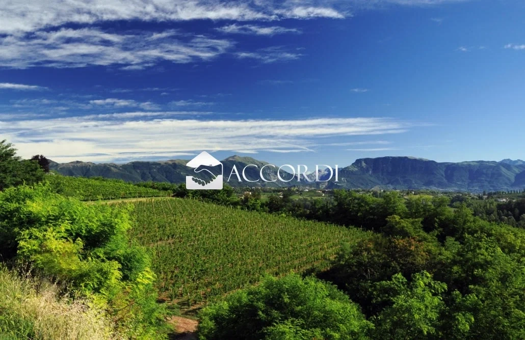 Terreno di 1 500 m²