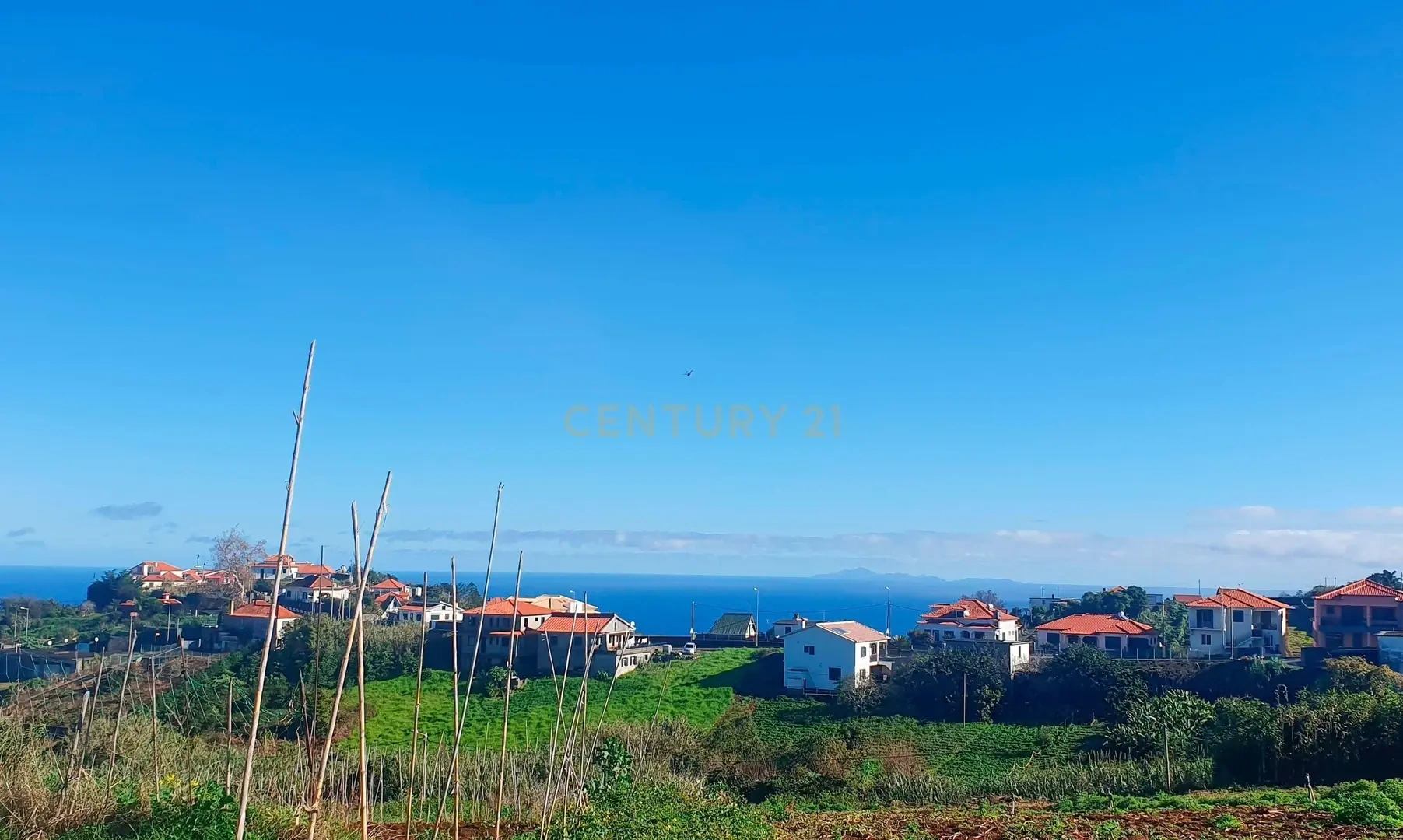 1 - vente terrain santana madère portugal
