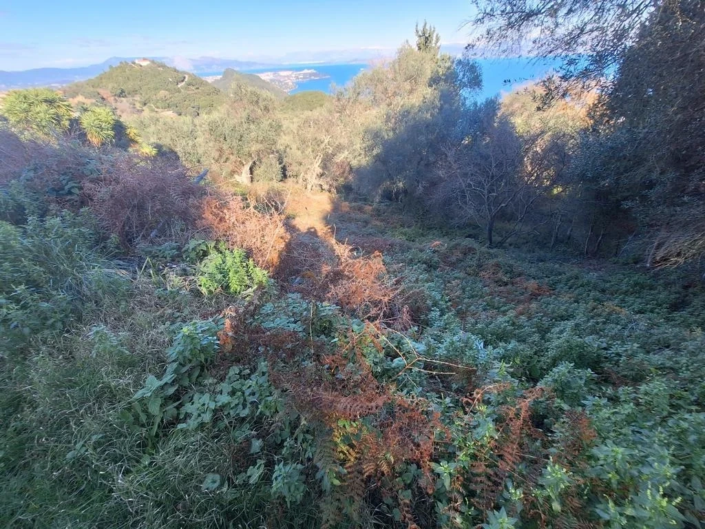 2 - vente terrain vue mer achílleion îles ioniennes grèce