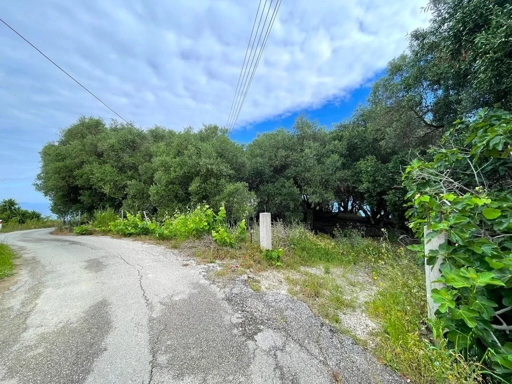 1 - vente terrain vue mer sidári îles ioniennes grèce