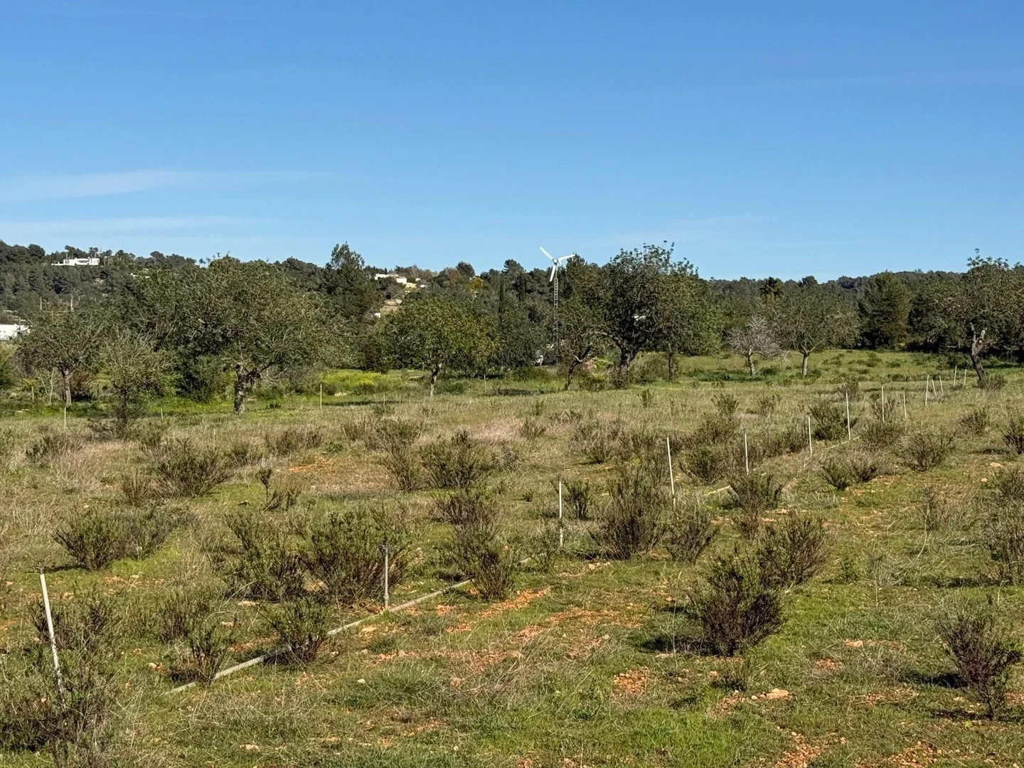 2 - plot of land for sale in sant antoni de portmany ibiza - balearic islands spain