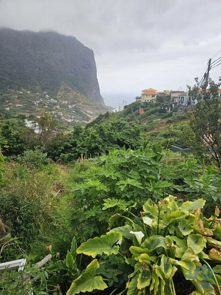 1 - vente terrain machico madère portugal