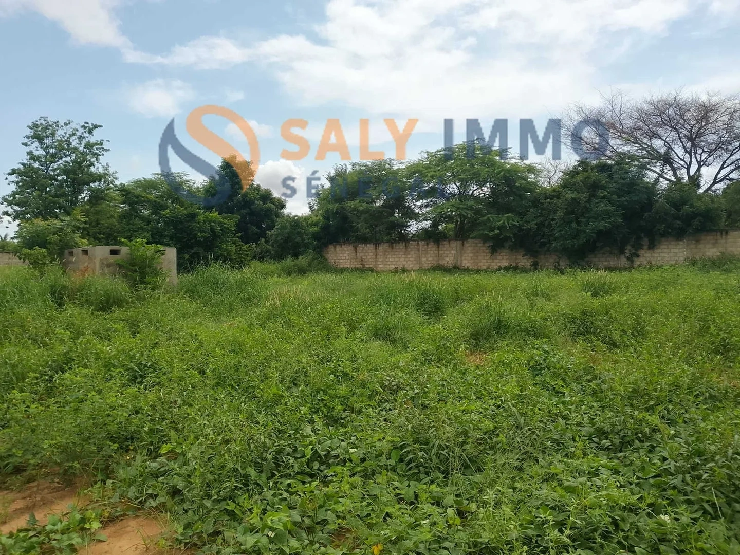 1 - vente terrain ngaring thiès sénégal