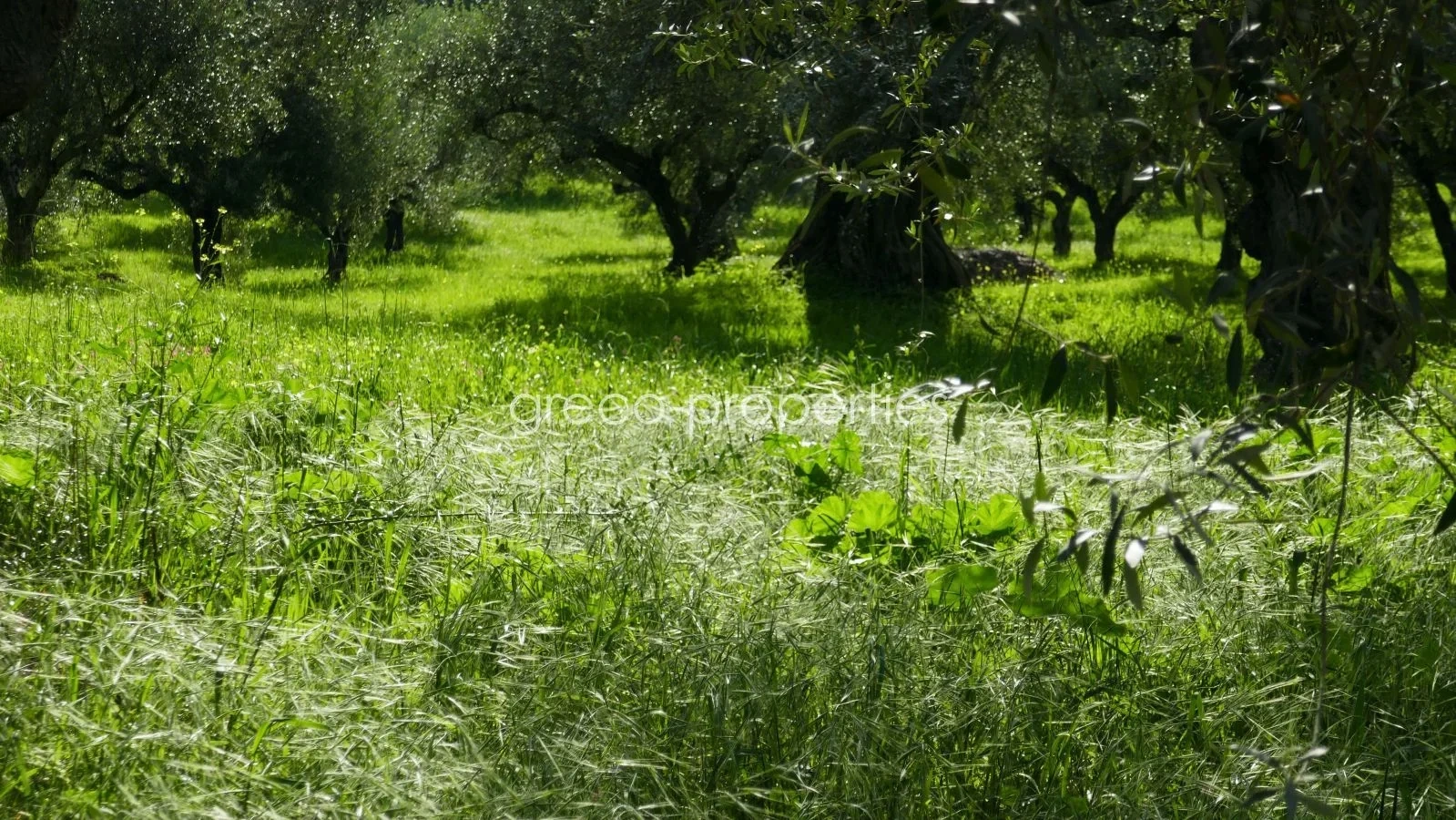 1 - venta terreno vista al mar romanós peloponeso grecia