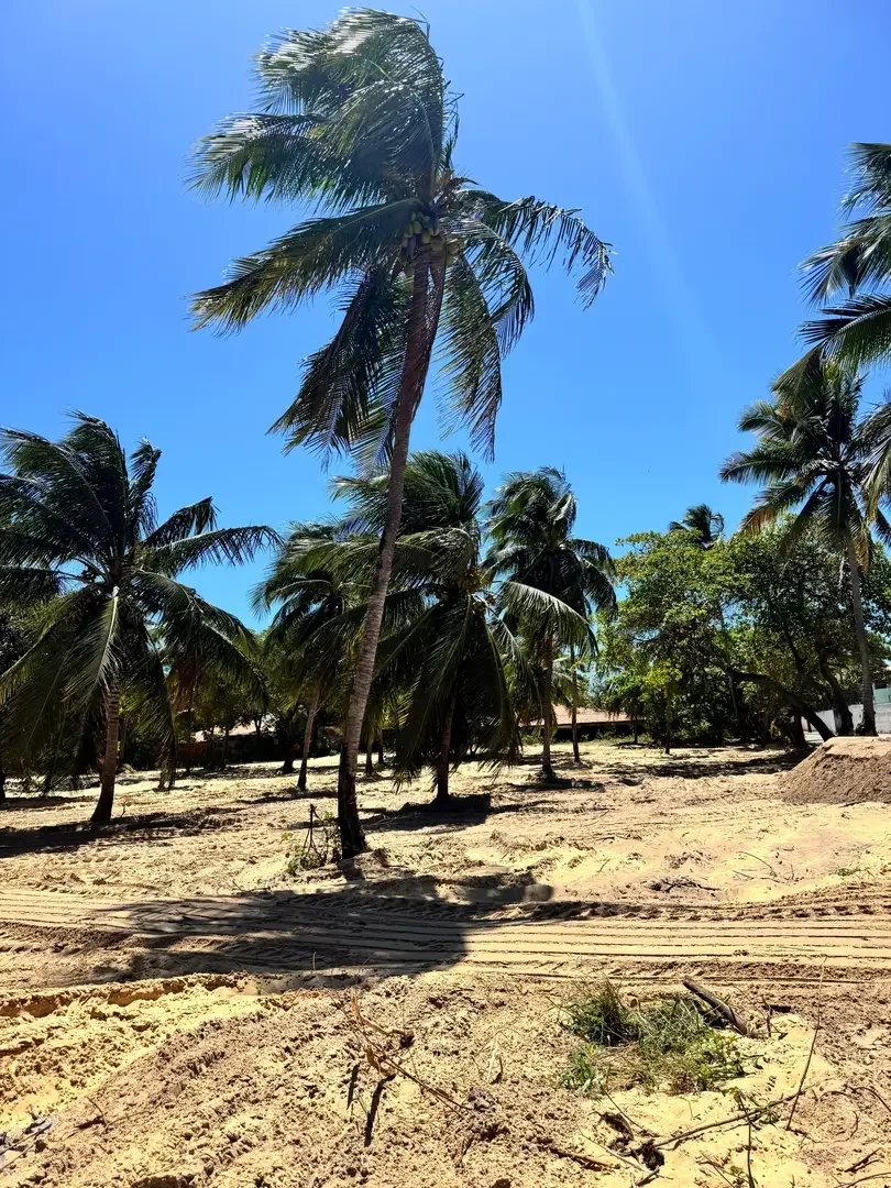 2 - vendita terreno spiaggia a piedi taiba ceará brasile