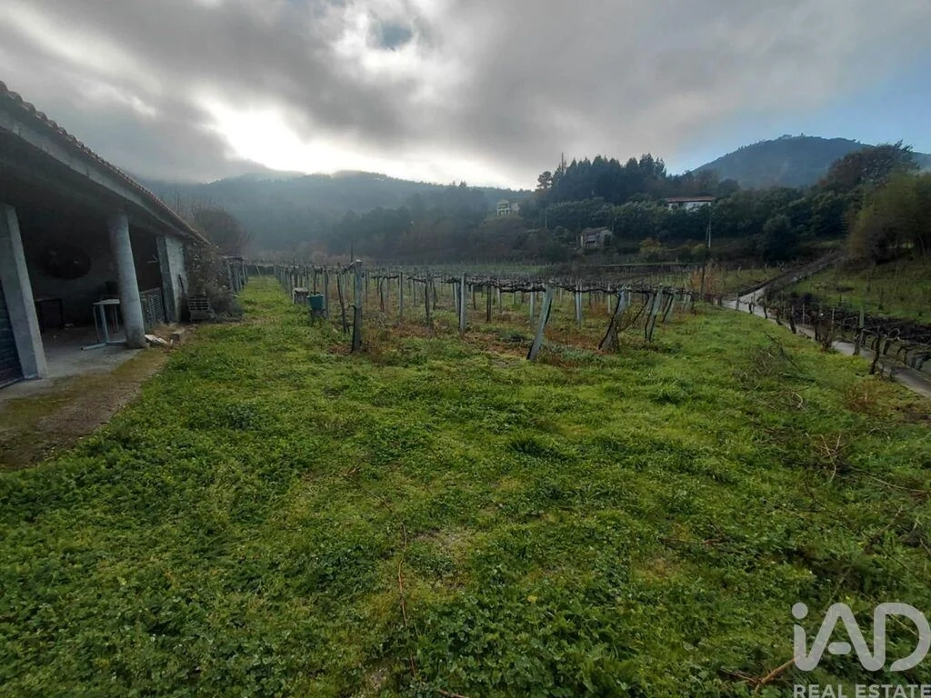 2 - venta terreno monção región norte portugal