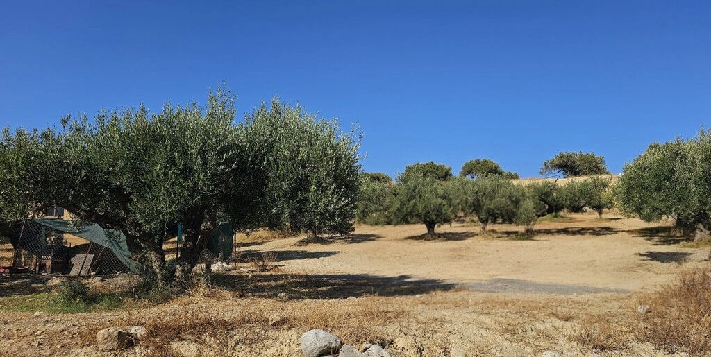 2 - vente terrain gouves crète grèce