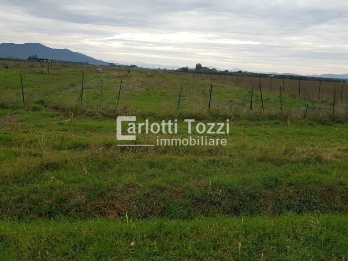 1 - продажа территория grosseto тоскана италия