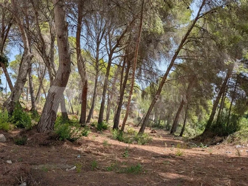 1 - venda terreno moraira - costa blanca comunidade valenciana espanha