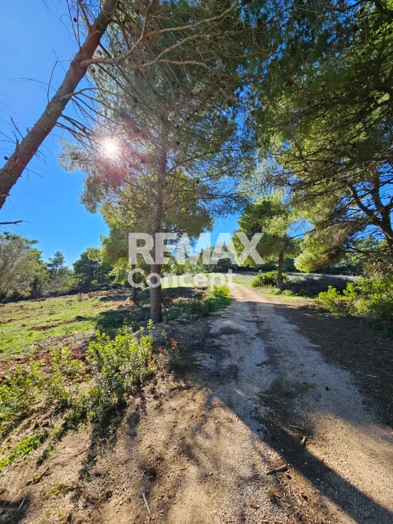 2 - vente terrain zante îles ioniennes grèce