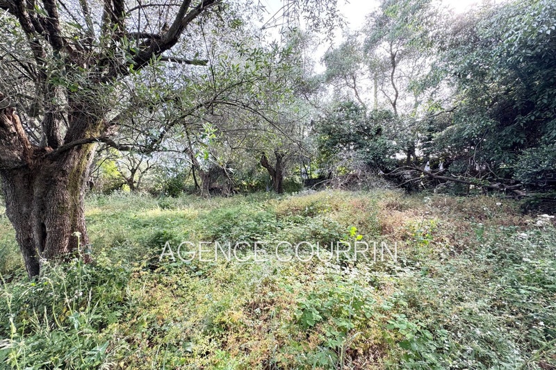 2 - venta terreno grasse alpes-marítimos francia