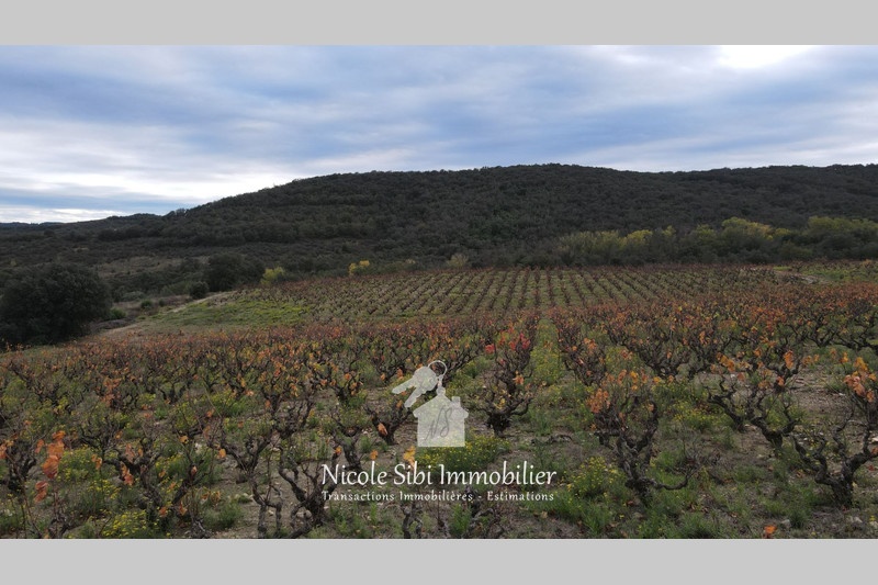 2 - verkoop terrein lansac pyrénées-orientales frankrijk