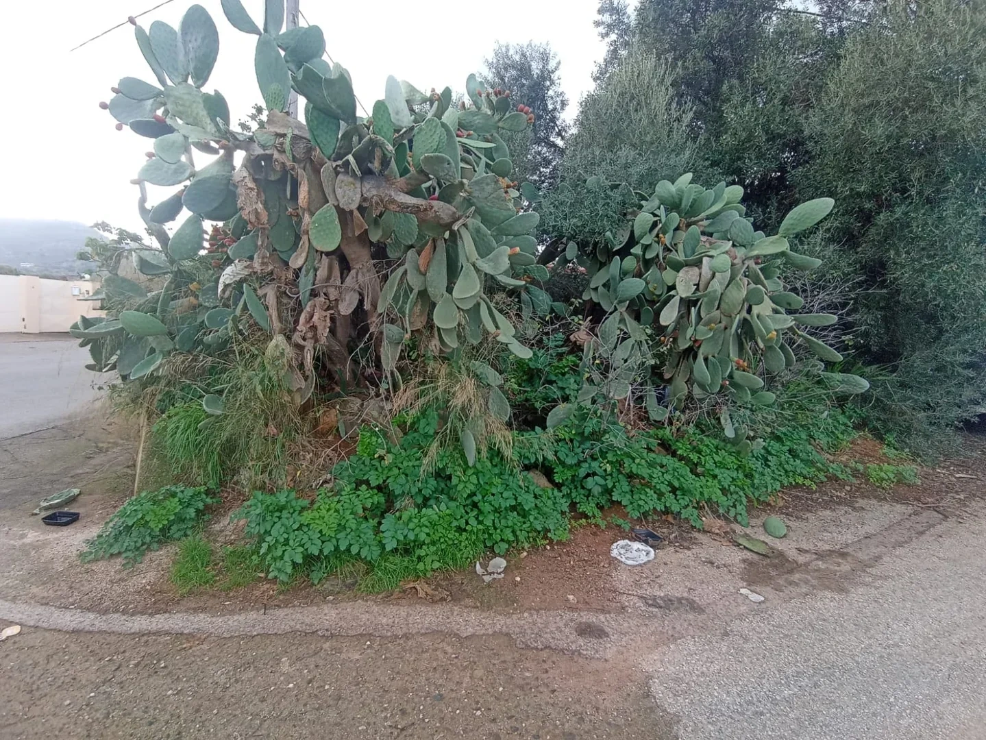 1 - vente terrain perivólia crète grèce