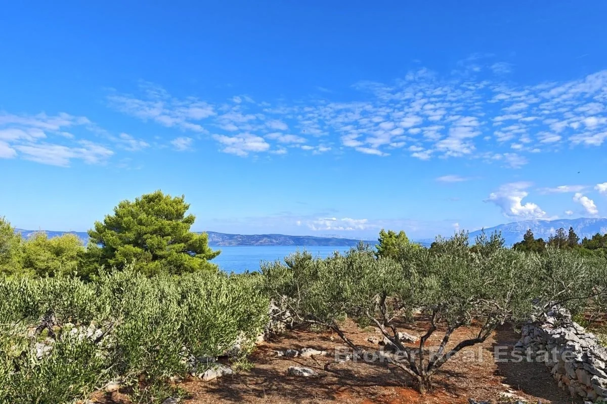 1 - sea view plot of land for sale in hvar split-dalmatia croatia