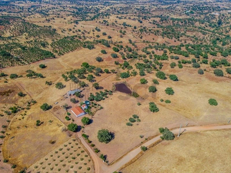 2 - vente propriété serpa alentejo portugal