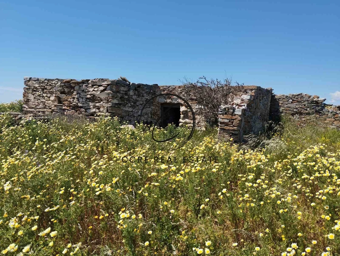 1 - verkauf grundstück kýthnos südliche ägäis griechenland