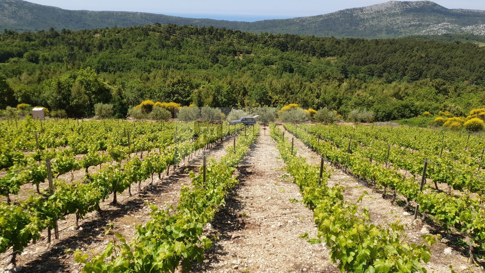 1 - plot of land for sale in orebić dubrovnik-neretva croatia