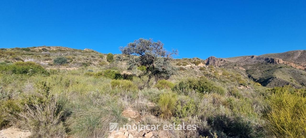 2 - sea view plot of land for sale in bedar andalusia spain