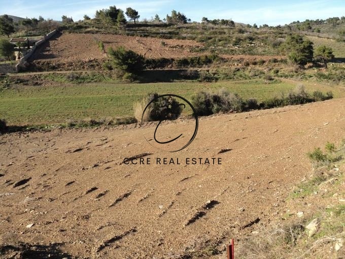 1 - vente terrain grammatiko attique grèce